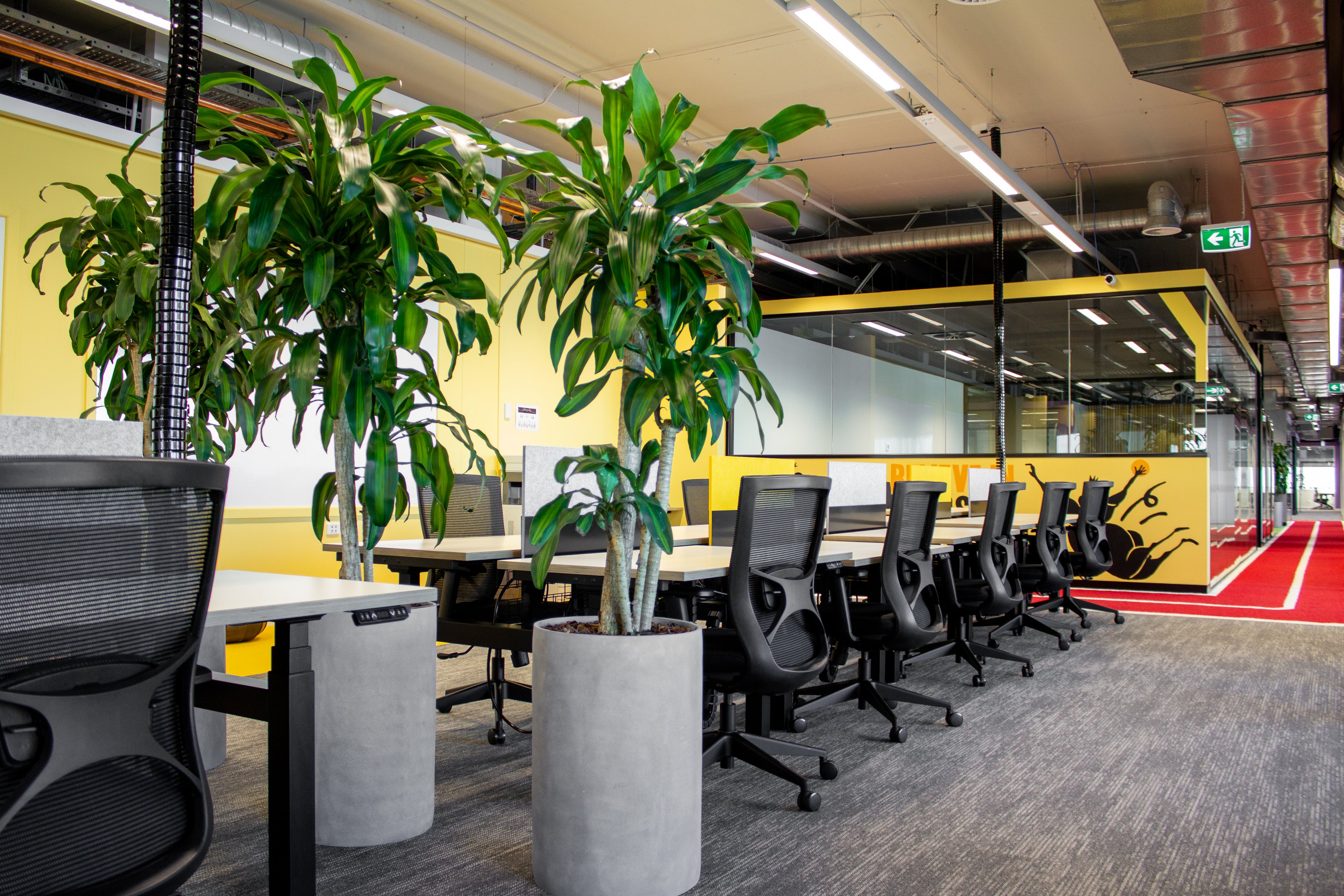 round umbilical cord from floor to ceiling and ceiling to desk