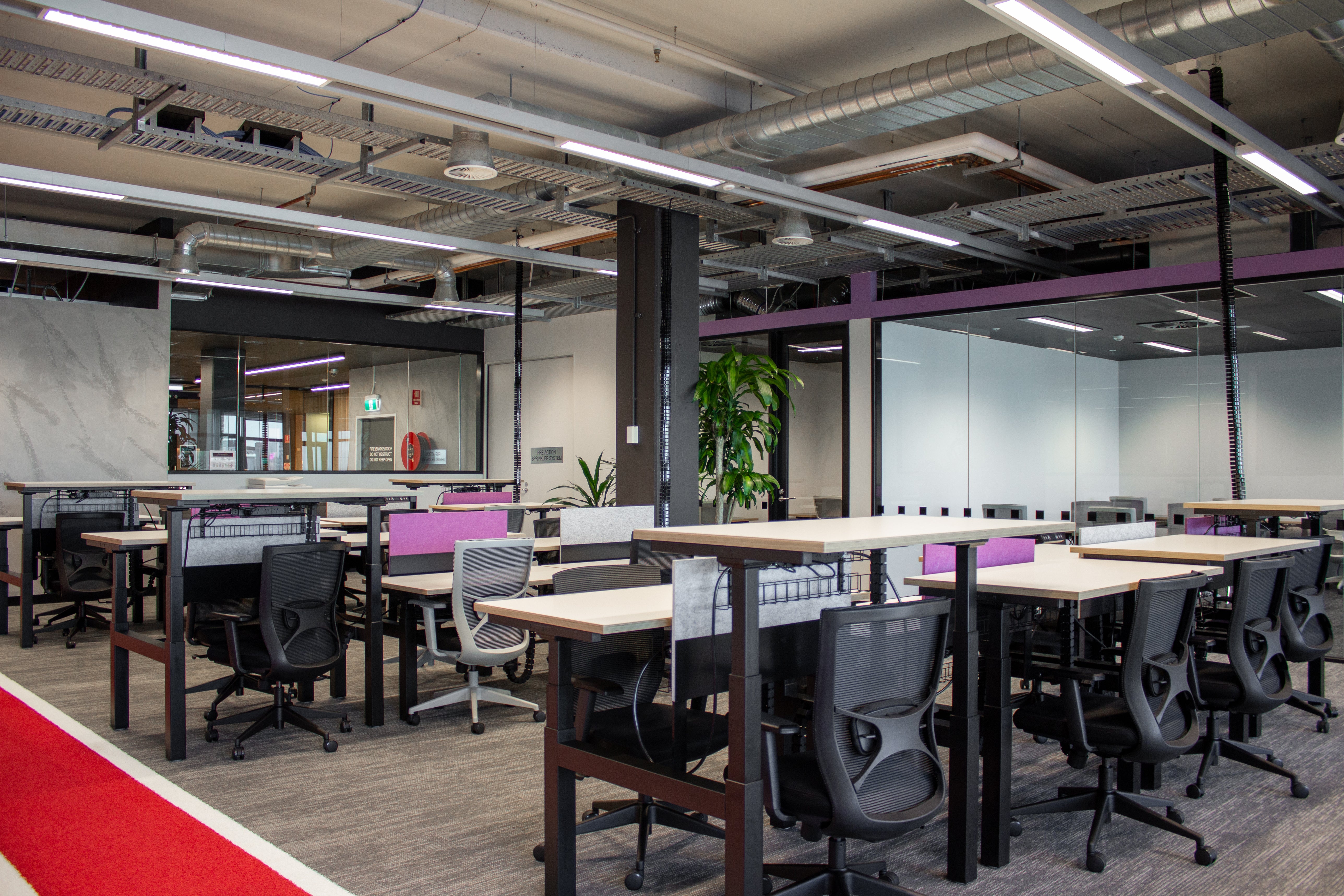 Electric sit to stand workstations with cable baskets